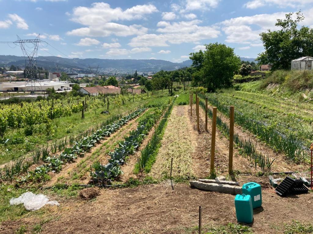 Quinta Do Pinheiro Βίλα Γκιμαράες Εξωτερικό φωτογραφία