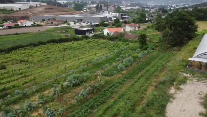 Quinta Do Pinheiro Βίλα Γκιμαράες Εξωτερικό φωτογραφία