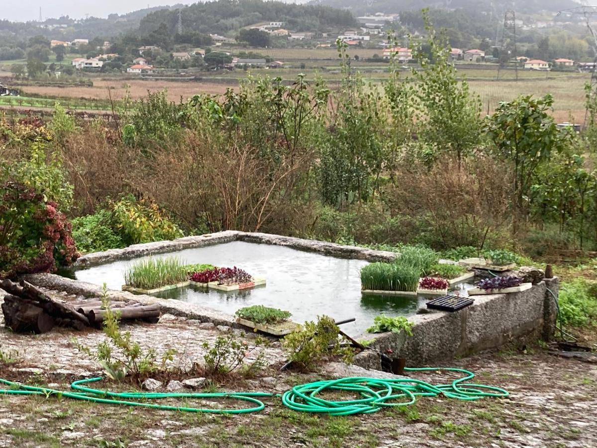 Quinta Do Pinheiro Βίλα Γκιμαράες Εξωτερικό φωτογραφία